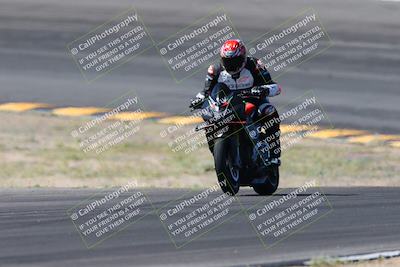 media/Apr-14-2024-SoCal Trackdays (Sun) [[70f97d3d4f]]/5-Bowl Exit (1020am)/